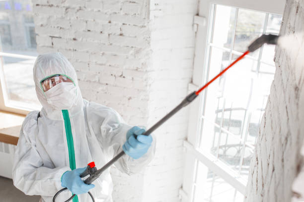 Best Crawl Space Mold Remediation  in Meadow Vale, KY