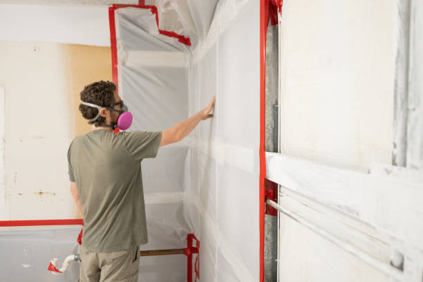 Best Air Quality Testing for Mold Spores  in Meadow Vale, KY