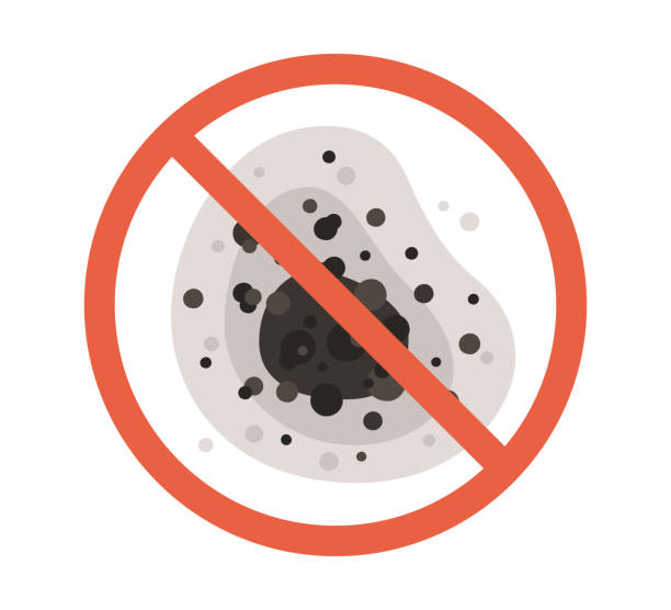 Biohazard Mold Removal in Meadow Vale, KY