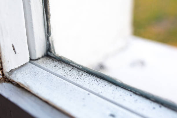 Best Indoor Air Quality Assessment  in Meadow Vale, KY